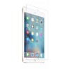 iPad Mini 4 / iPad Mini 5 (2019) Tempered Glass Screen Protector - 10