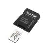 SanDisk High Endurance TF 256GB With Adapter