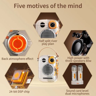 Divoom Spark-Pro Bluetooth Portable Speaker Karaoke