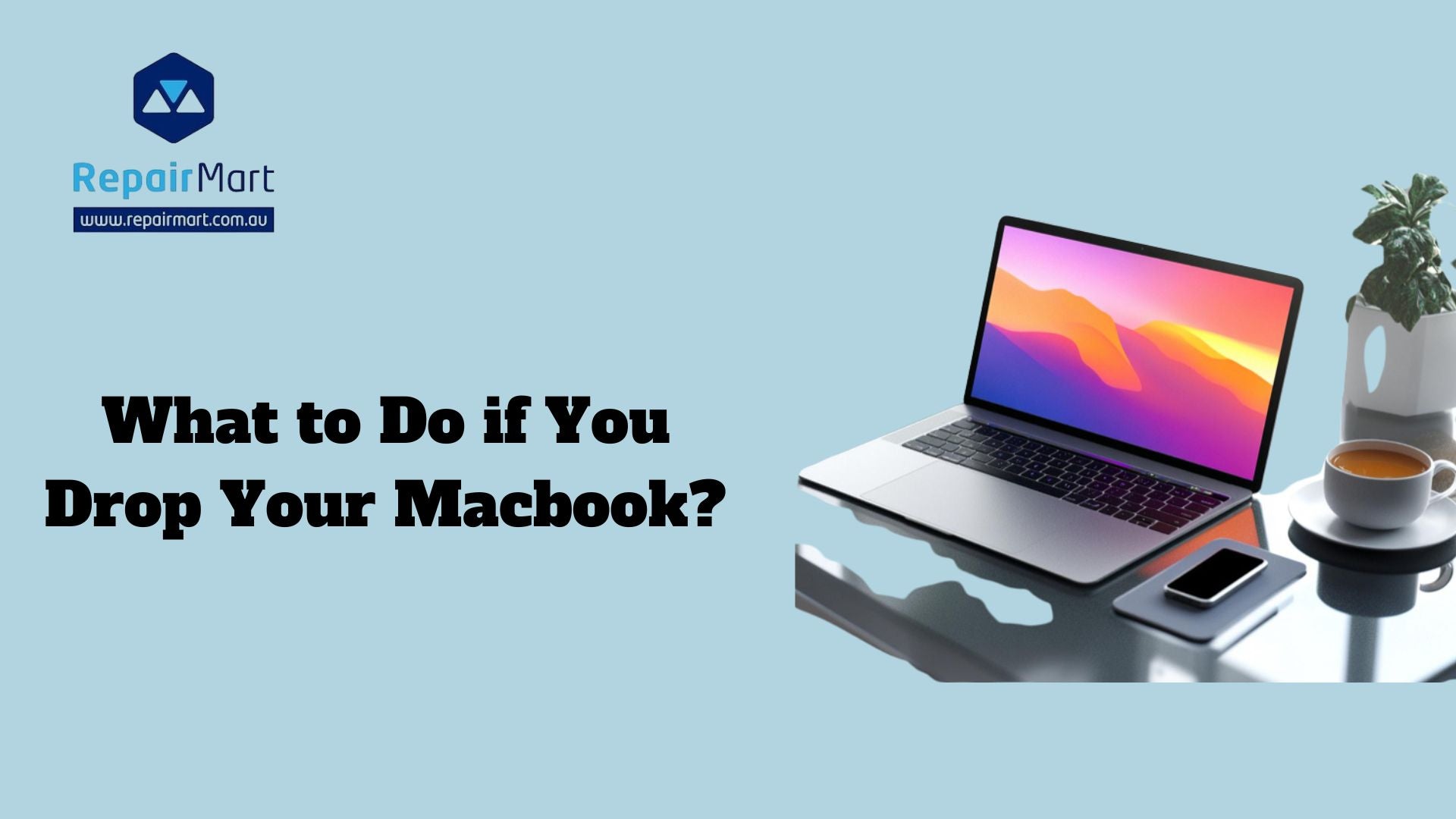 What to Do if You Drop Your Macbook?